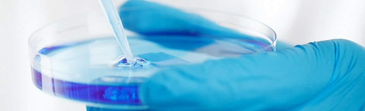 Welcome to our brand new website